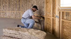 Eco-Friendly Insulation Solutions in Monrovia, IN